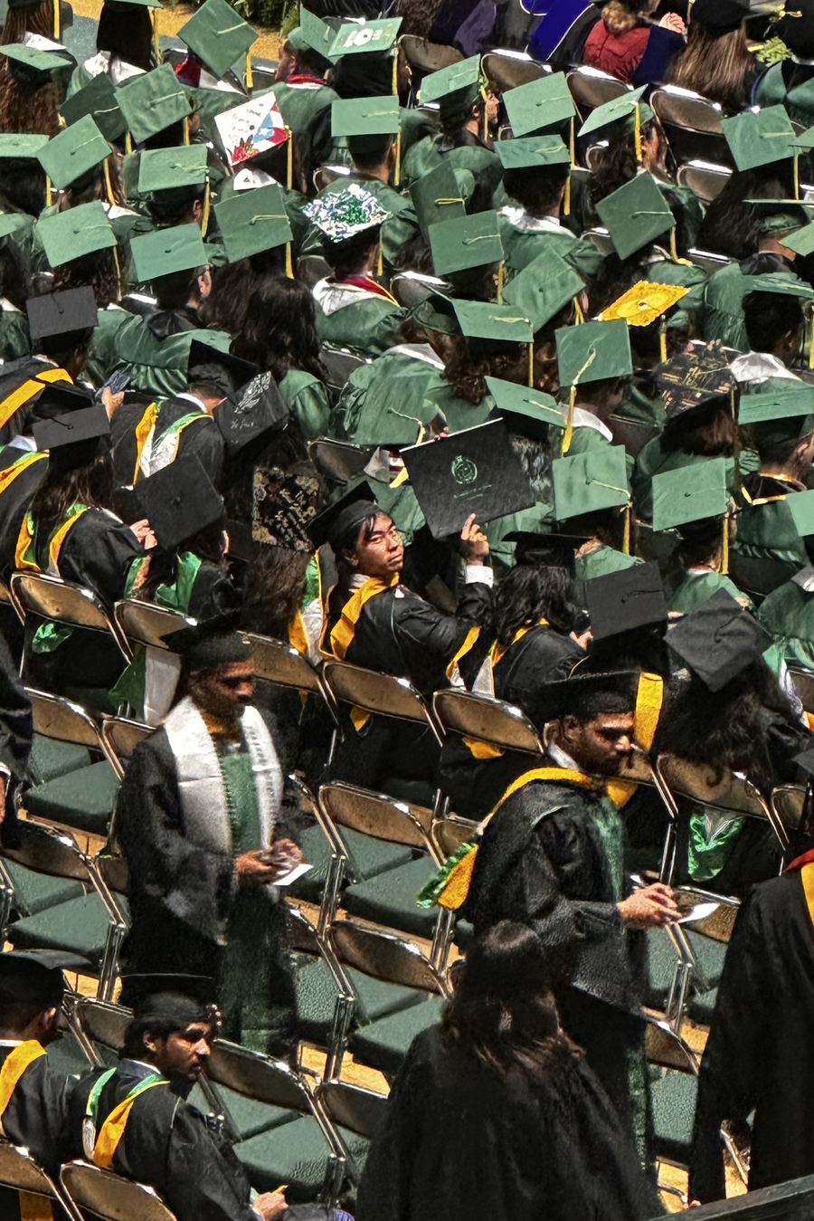 UNT Master's commencement